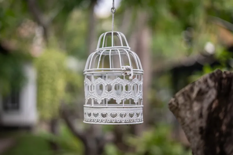 A detail at Banana Resort