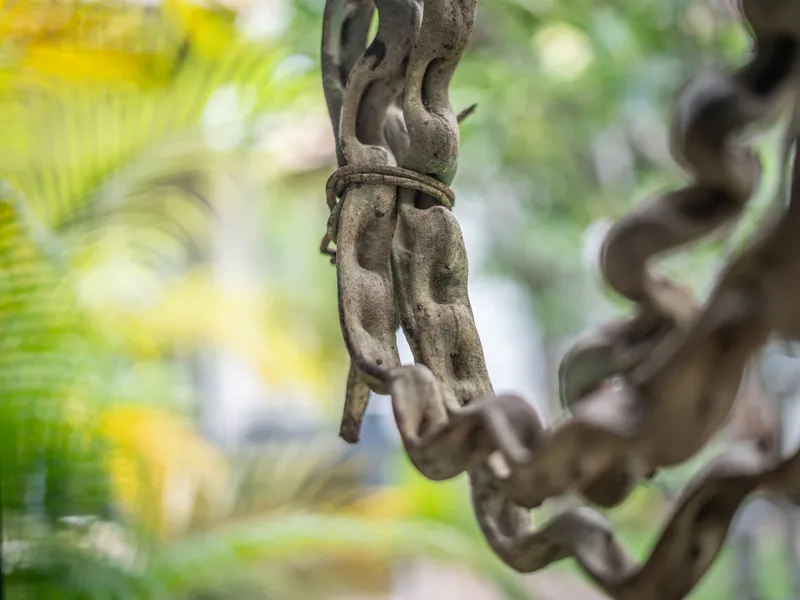 A detail at Banana Resort