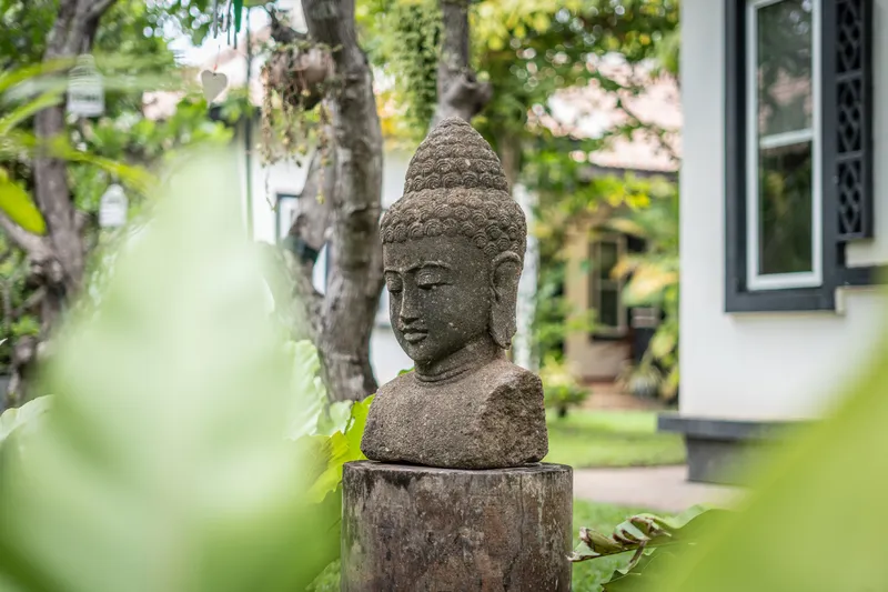 A detail at Banana Resort