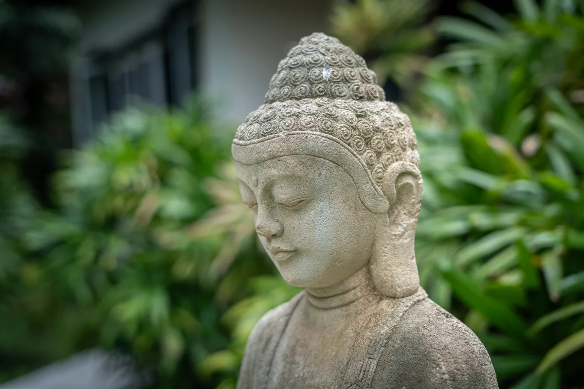 Buddha statue close-up in the tropical garden